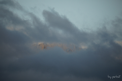 Rauhhorn in der Wolke
