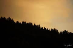 Ostrachtal