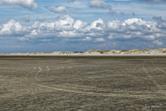 Spur im Sand