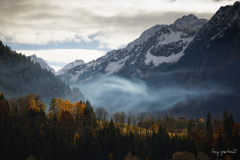 Morgennebel