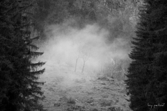 In der Wolke