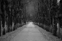 Langer Weg