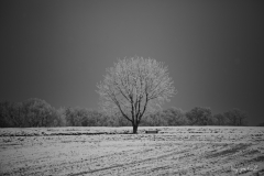 Winter in Mittelfranken