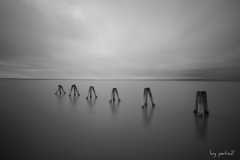 Neusiedler See