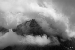 J49A9245_DxO