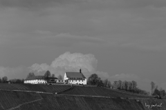 Vogelsburg