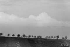 J49A9705_DxO