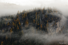 Herbst ist da