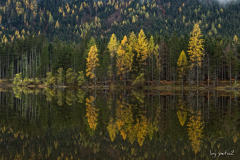 Herbstruhe