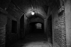 Siena