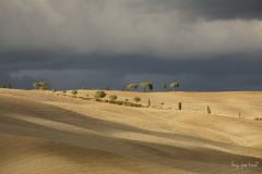 Unter den Wolken