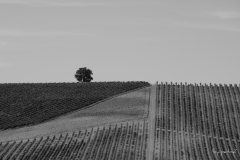 Unter fremden